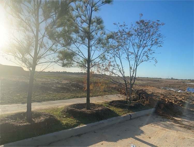 freeman ranch