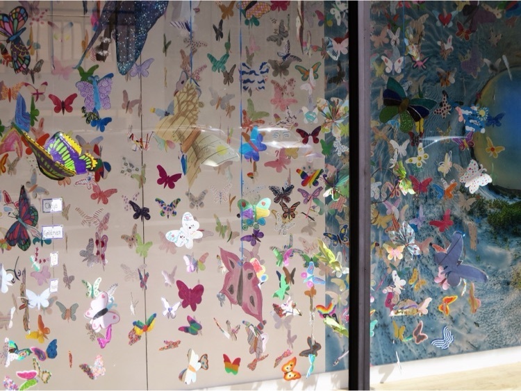 Butterly exhibit 
