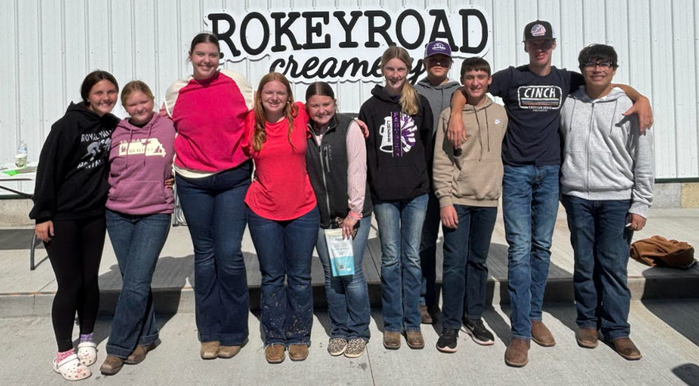 FFA Dairy