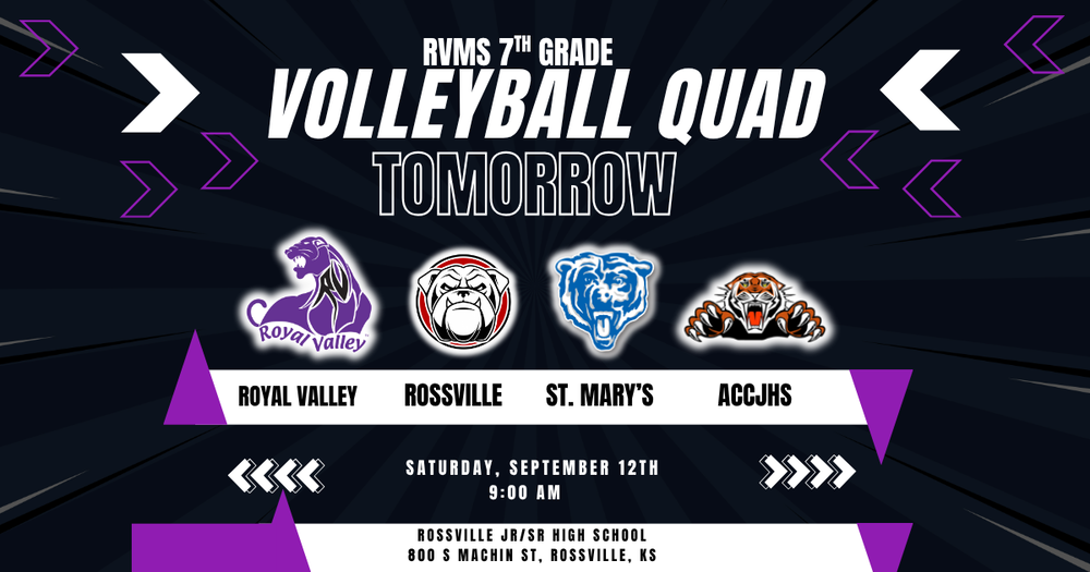 RVMS VB Rossville