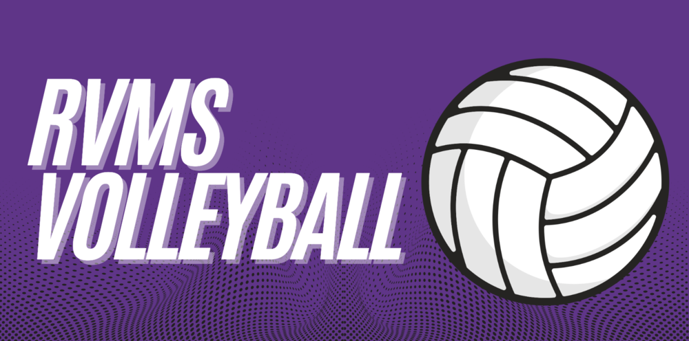 RVMS VB