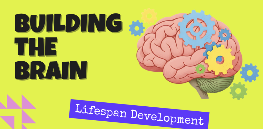 Brain structure activity