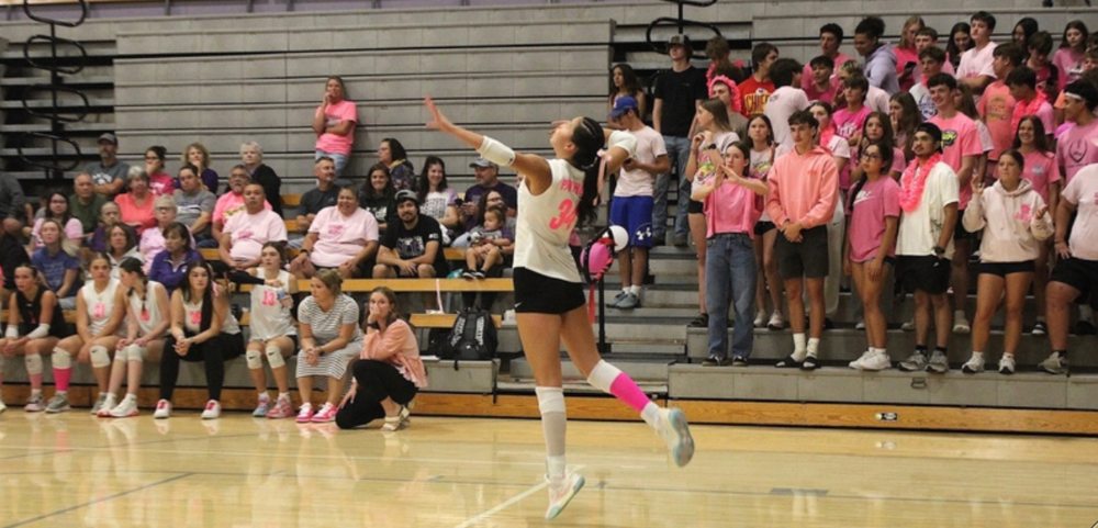 Pink Out VB