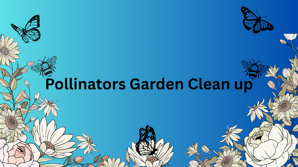 Pollinators Garden