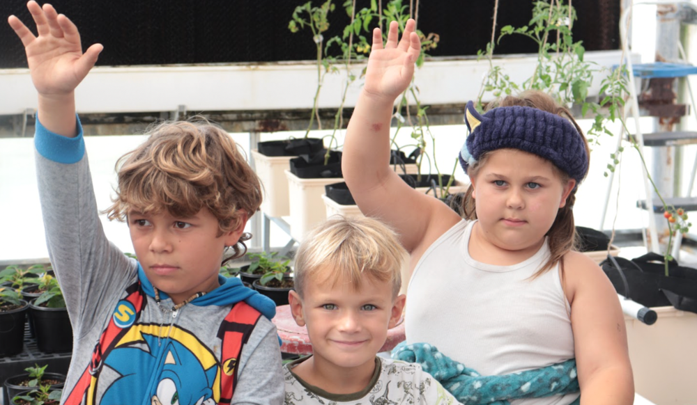STEM kids planting plants