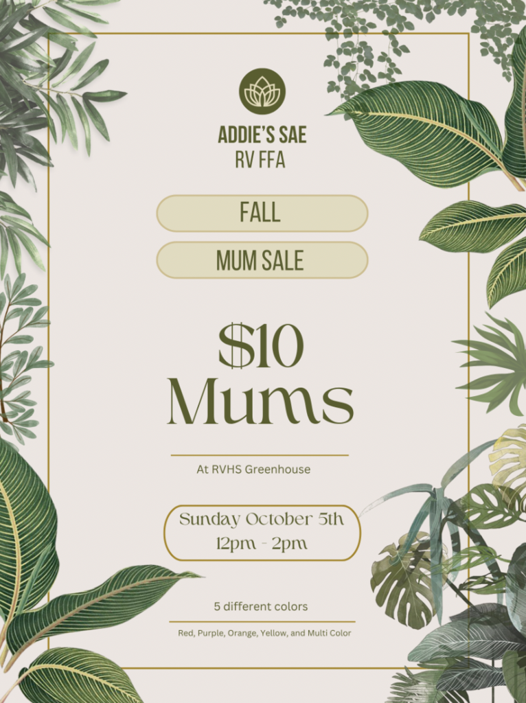 Mum Sale