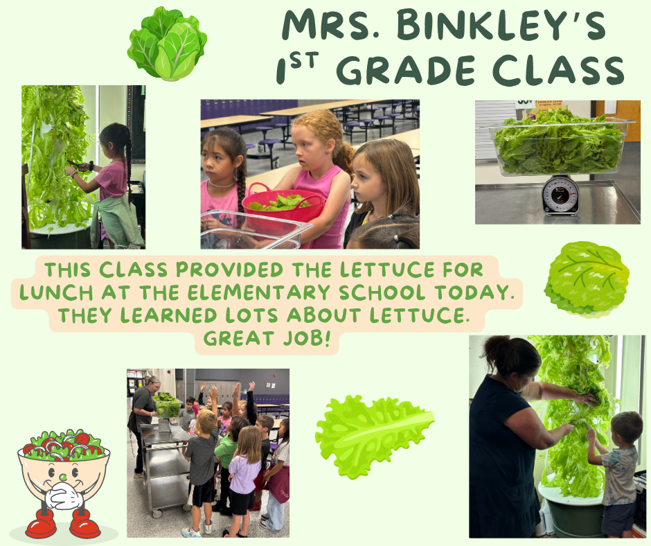 Today's lunch at the elementary school included lettuce Mrs. Binkley's 1st grade class grew. Thank you!