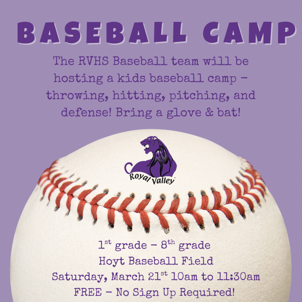 Baseball Camp