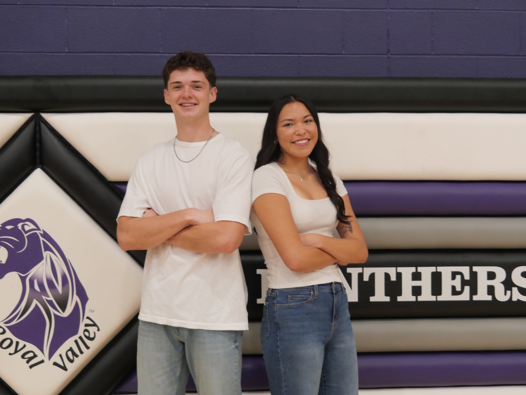 Hoco Court