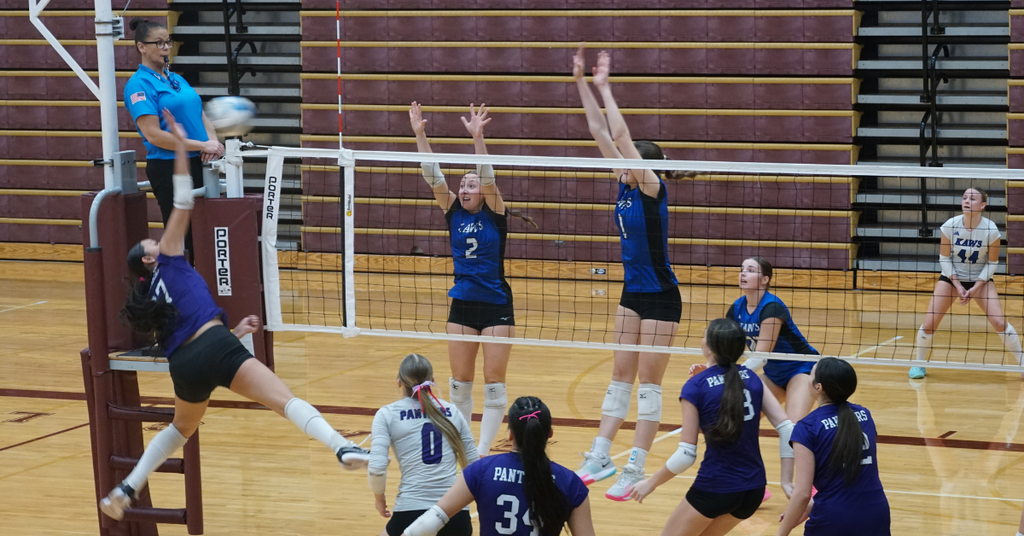 volleyball