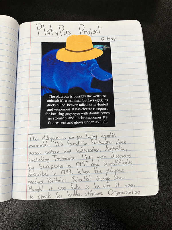 Platypus