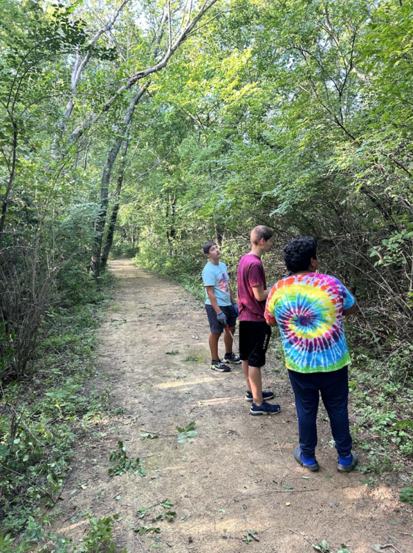 Trail