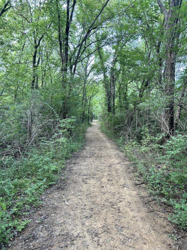 Trail
