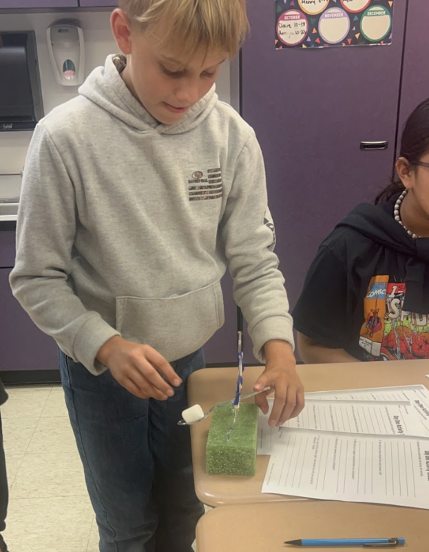 6th grade social studies