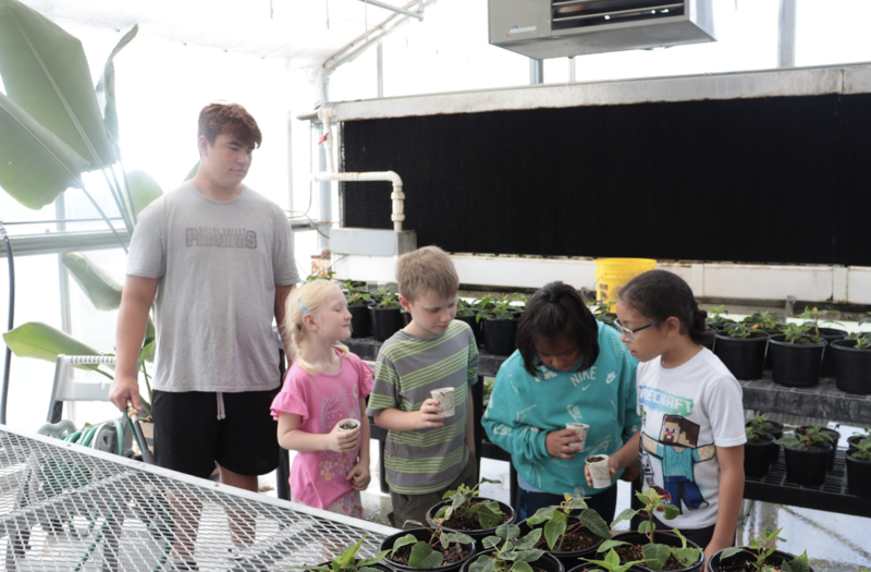STEM kids planting plants 
