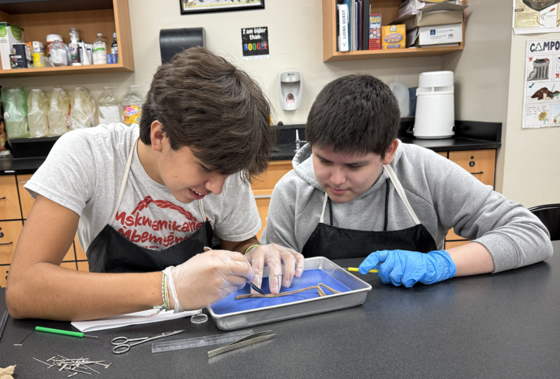 Zoology Dissection