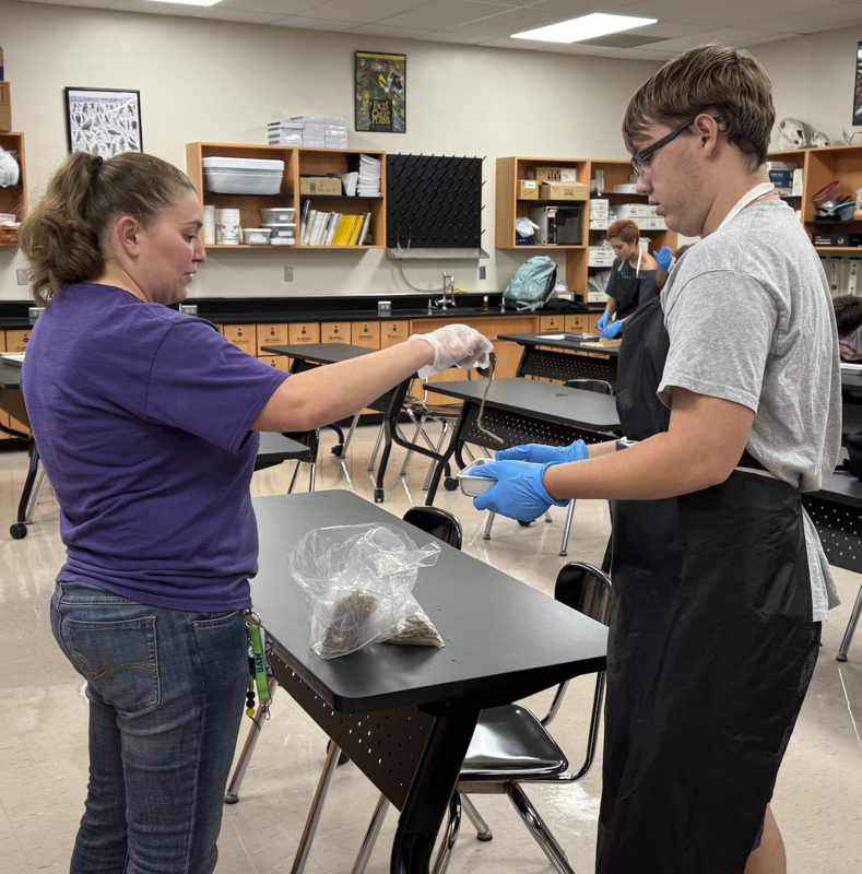 Zoology Dissection