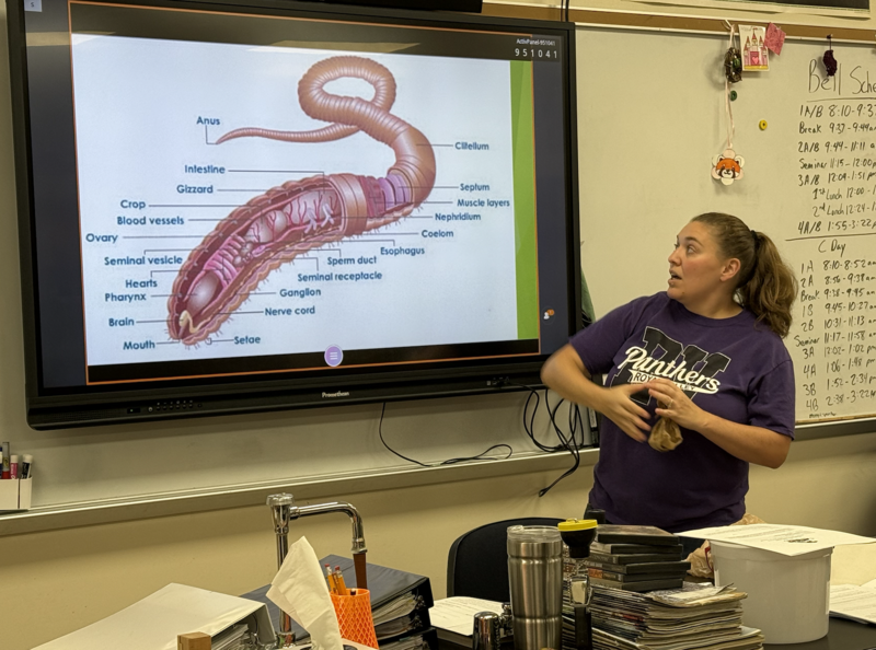 Zoology Dissection