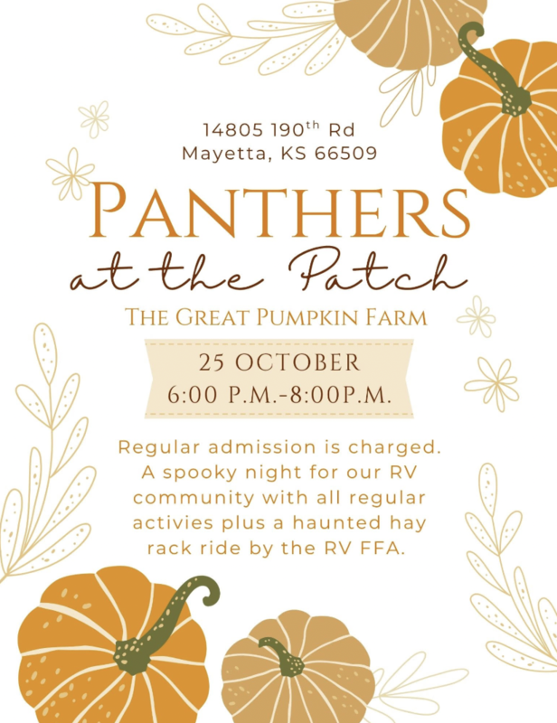 Panthers at the Patch