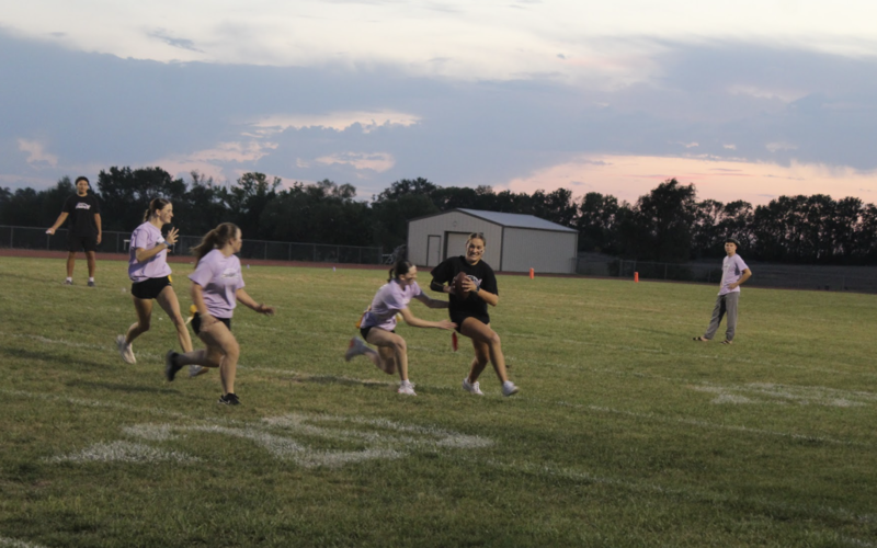 Powder Puff