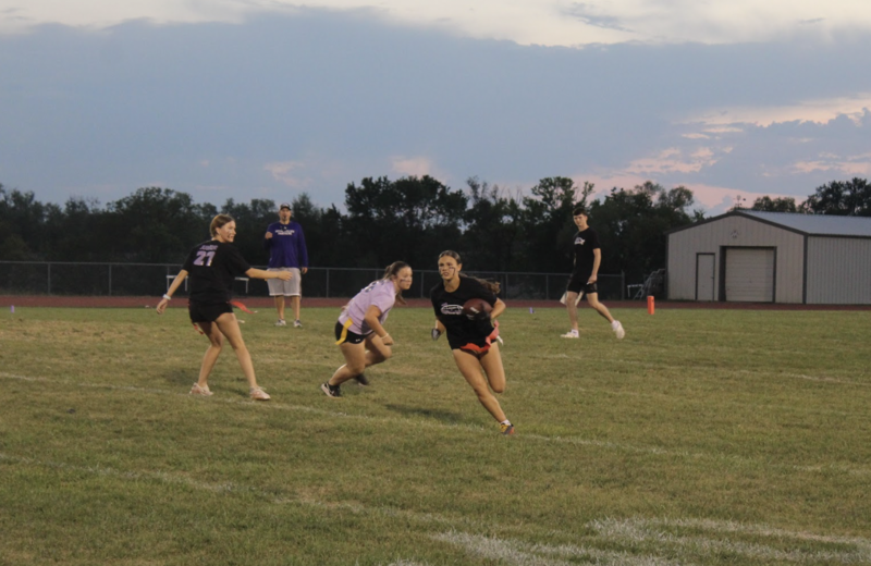 Powder Puff