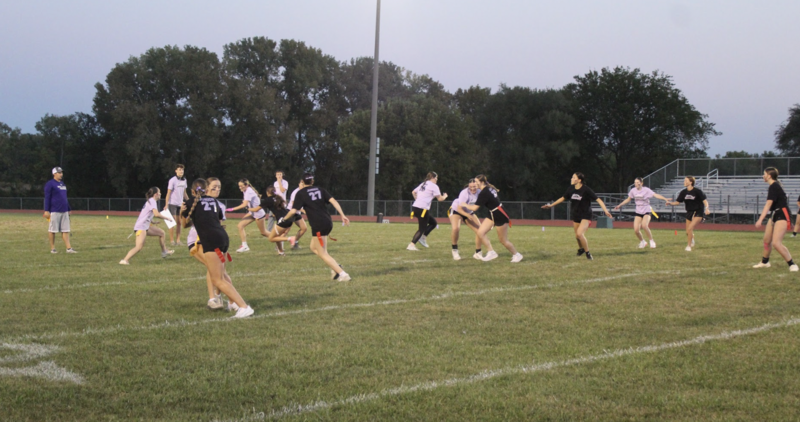 Powder Puff