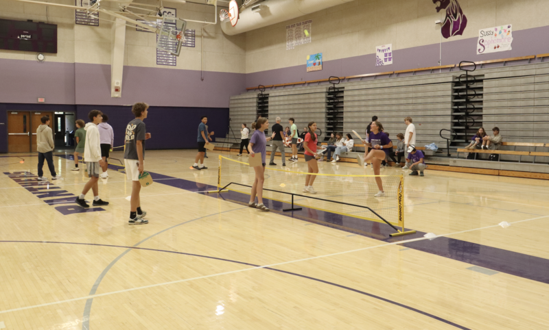 Pickle Ball Tourney