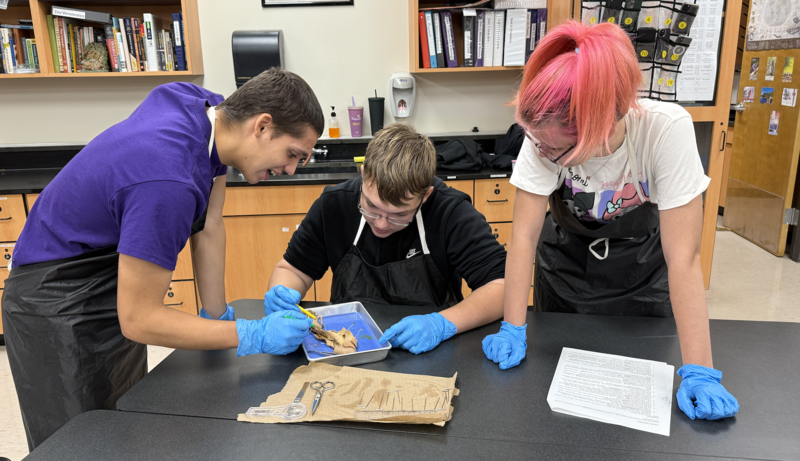 Zoology