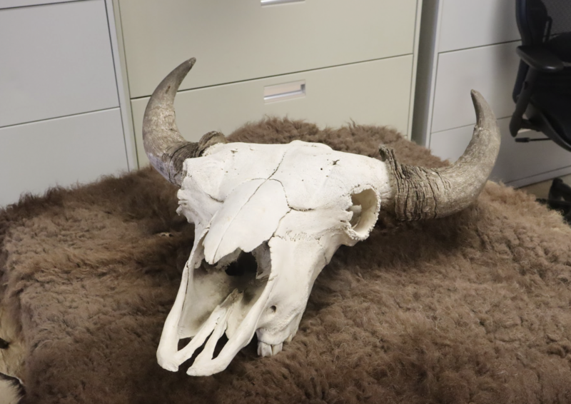 Environmental Science Trip