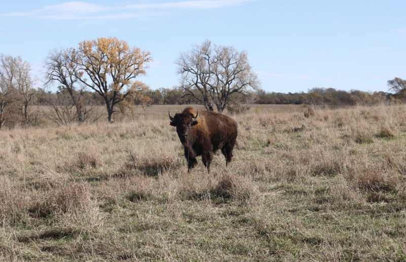 Environmental Science Trip