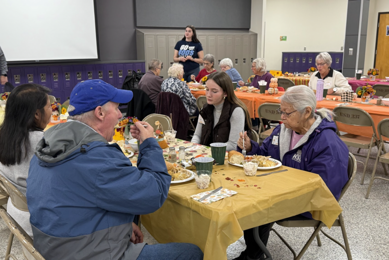 Senior Citizen Lunch