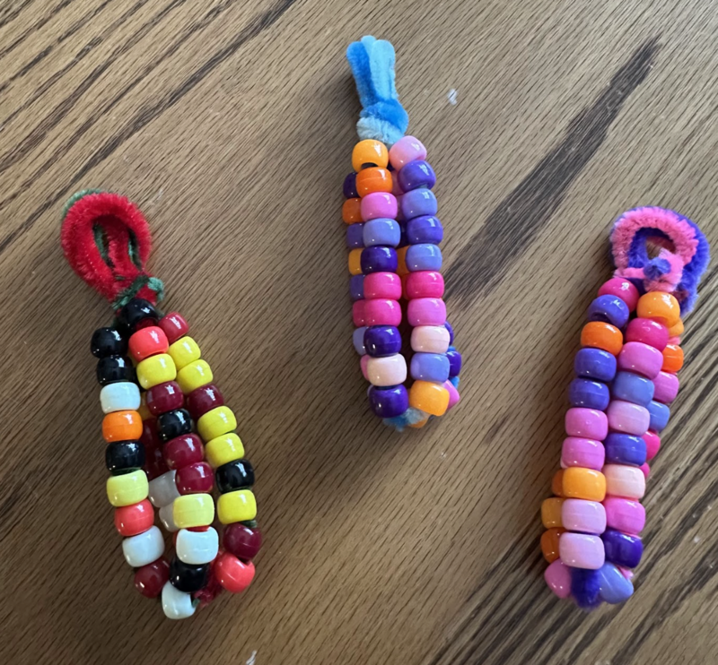 Native American History Class