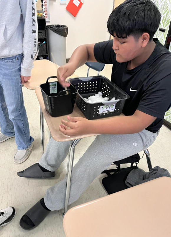 7th / 8th Hunger Games