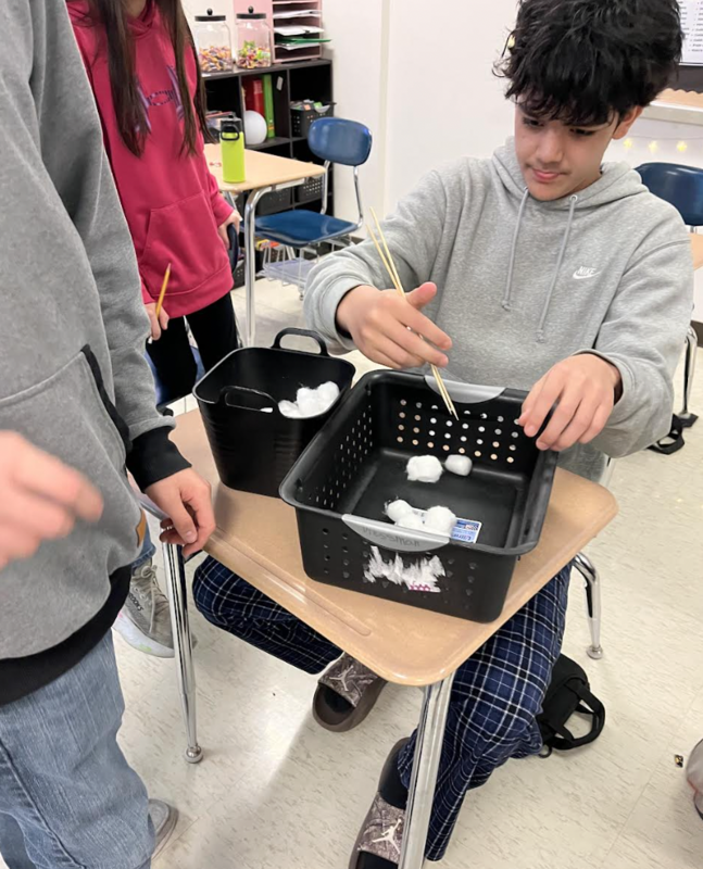 7th / 8th Hunger Games