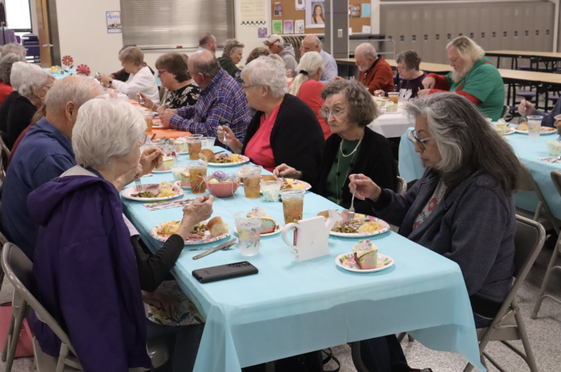 Senior Citizen Lunch