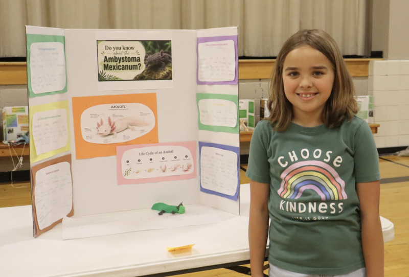 Science Fair
