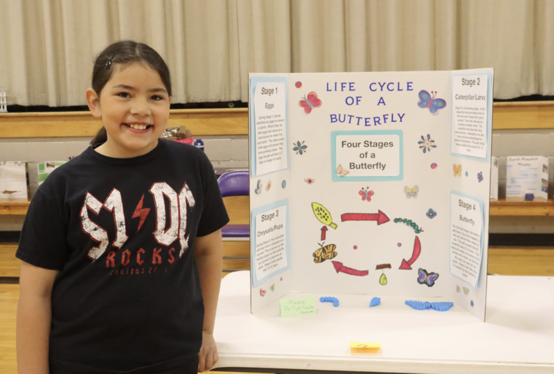 Science Fair