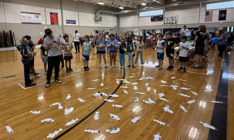STEM Day