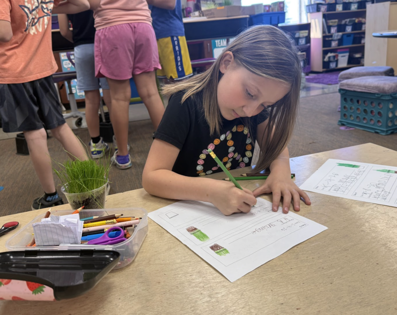 STEM Day