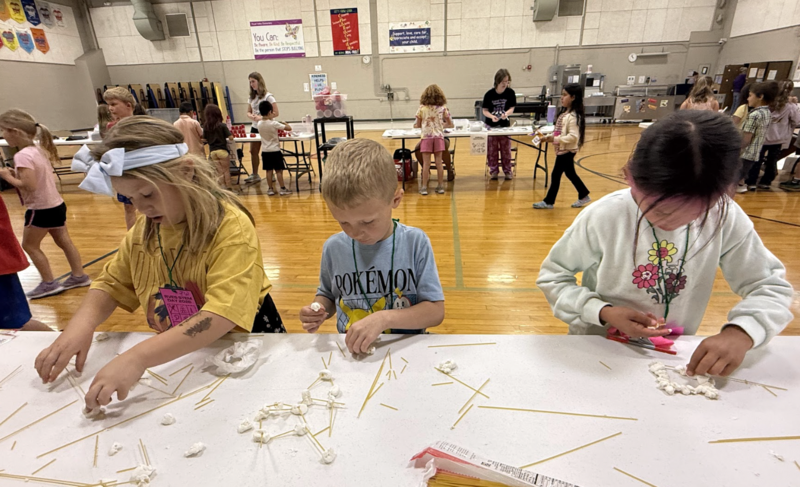STEM Day