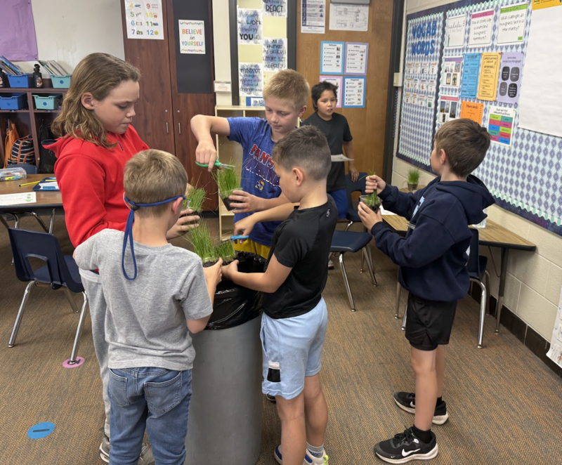 STEM Day