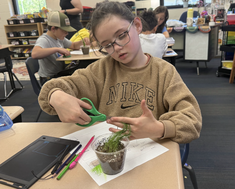 STEM Day