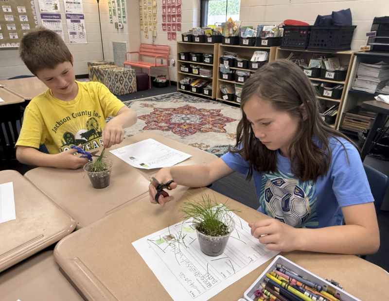 STEM Day