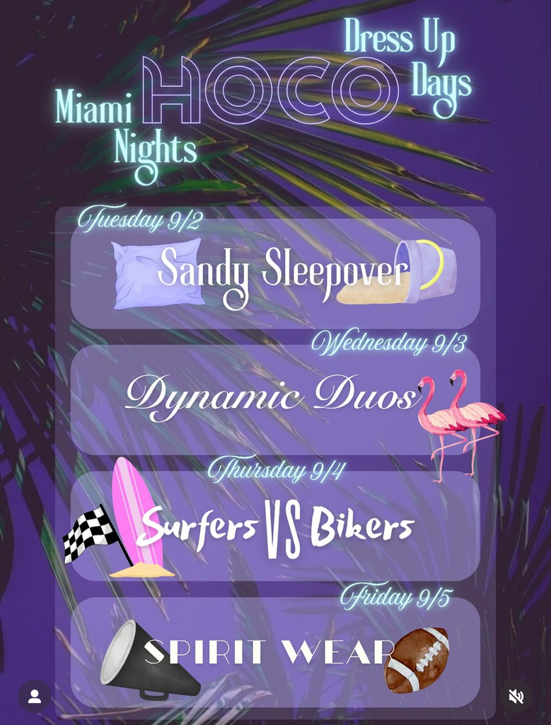 Hoco Dress up days