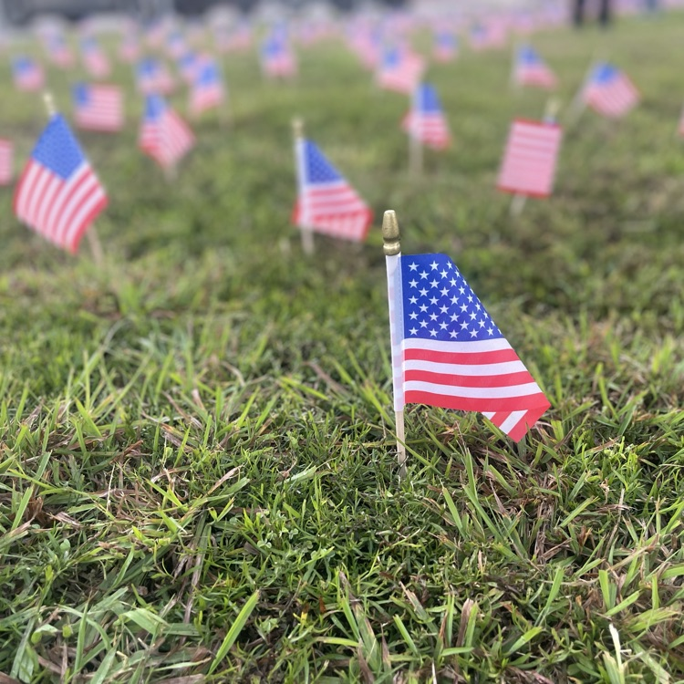 Flags to show honor 