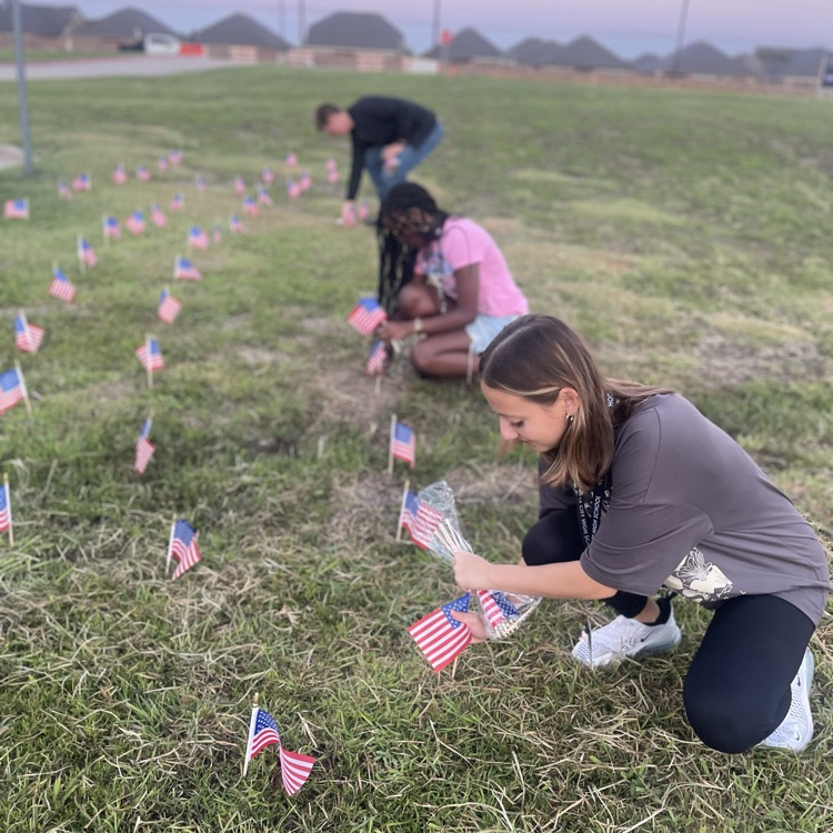 Students placing flags on campus
