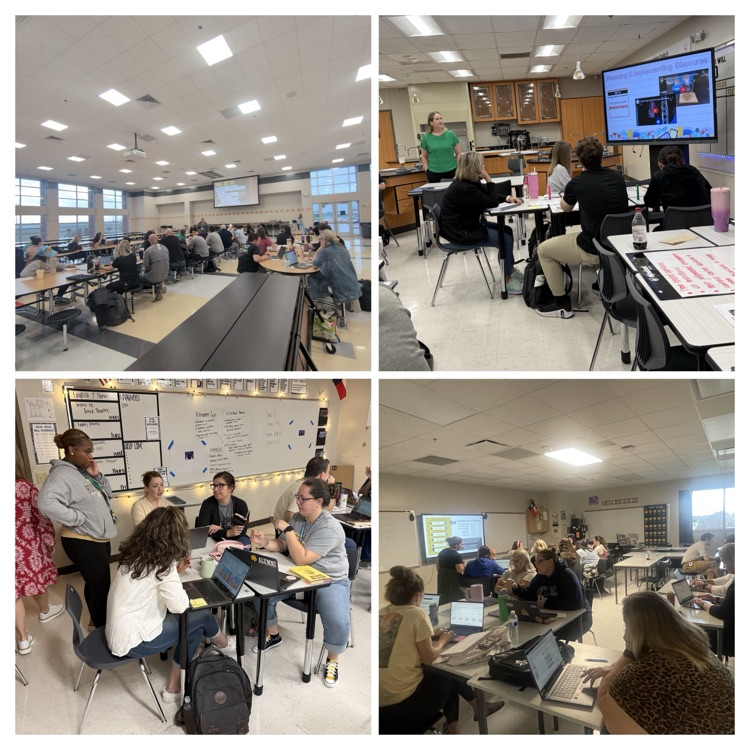 Professional learning at RCHS