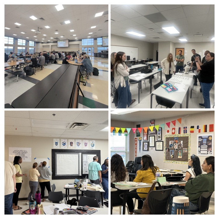 Professional learning at RCHS