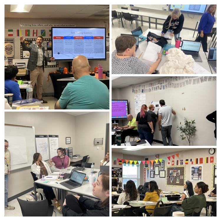 Professional learning at RCHS