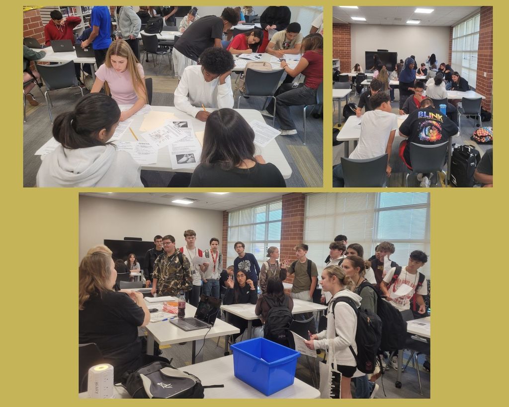 Students working hard